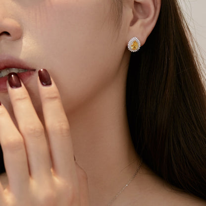 [Clara Jewels]Delicate Gorgeous Pear Cut Daily Earrings
