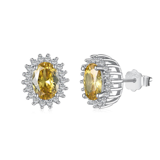 [Clara Jewels]Delicate Radiant Oval Cut Daily Earrings